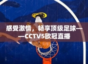 感受激情，畅享顶级足球——CCTV5欧冠直播