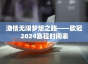 激情无限梦想之路——欧冠2024赛程时间表