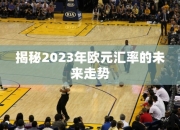 揭秘2023年欧元汇率的未来走势