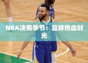 NBA决赛季节：篮球热血时光