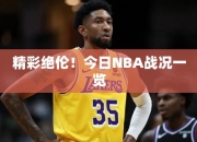 精彩绝伦！今日NBA战况一览