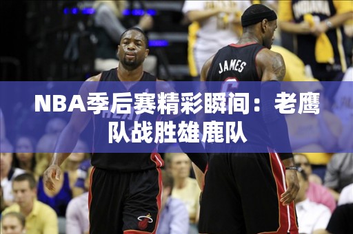 NBA季后赛精彩瞬间：老鹰队战胜雄鹿队