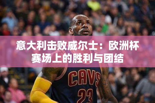 意大利击败威尔士：欧洲杯赛场上的胜利与团结