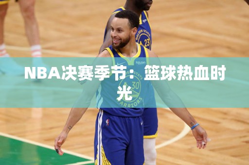 NBA决赛季节：篮球热血时光