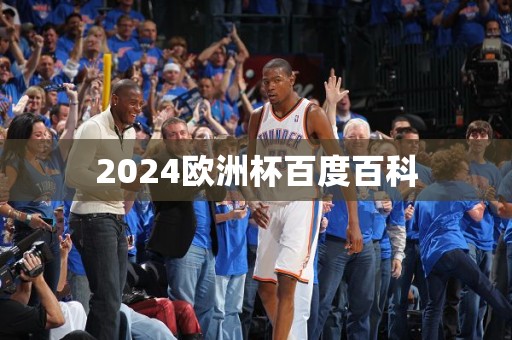 2024欧洲杯百度百科