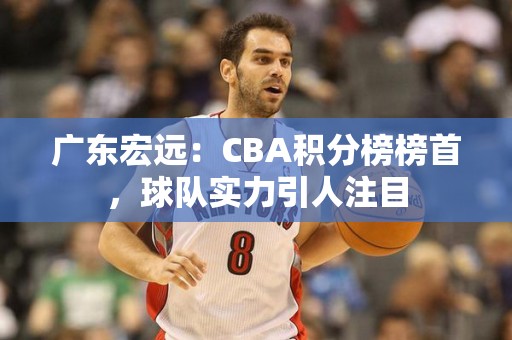 广东宏远：CBA积分榜榜首，球队实力引人注目