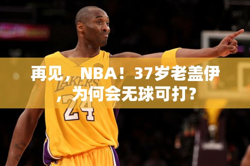 再见，NBA！37岁老盖伊，为何会无球可打？