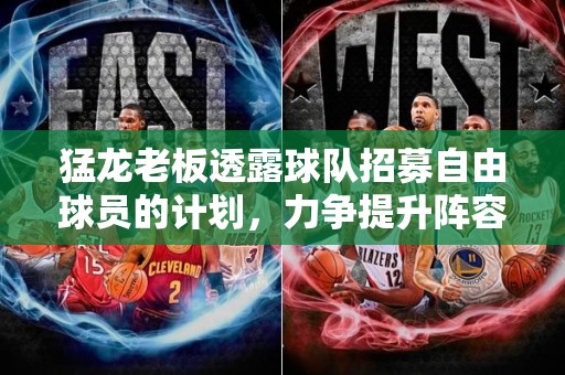 猛龙老板透露球队招募自由球员的计划，力争提升阵容实力