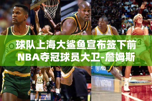 球队上海大鲨鱼宣布签下前NBA夺冠球员大卫-詹姆斯